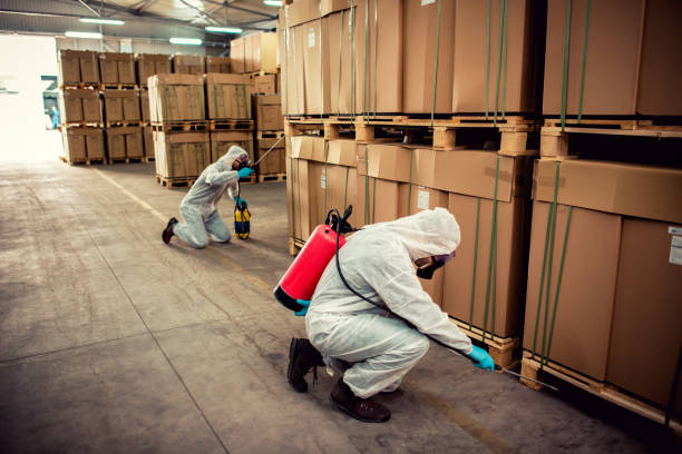 Best Local Pest Control Services  in Manawa, WI
