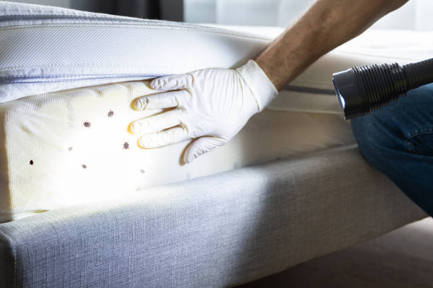 Manawa, WI Pest Control Company